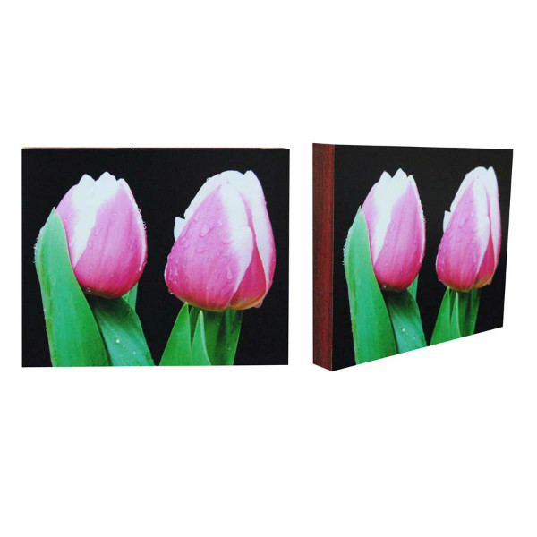 กรอบลอยภาพถ่ายดอกไม้